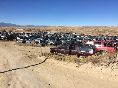 American & Import Auto Recyclers